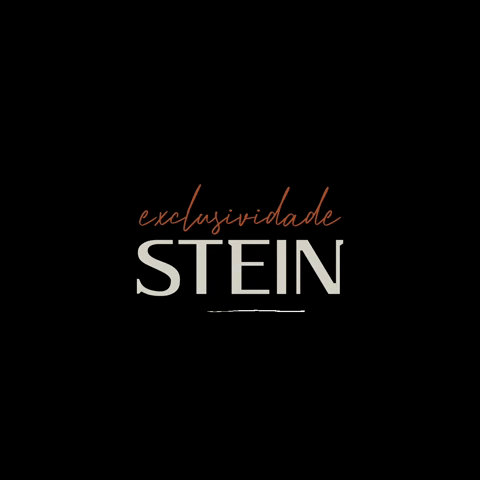 SteinInvestimentos giphyattribution GIF