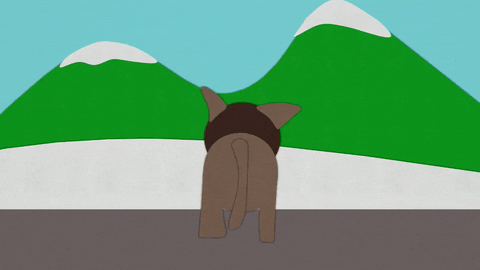 cat leaving GIF by South Park 