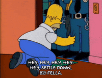 Season 2 Episode 13 GIF by The Simpsons