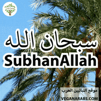 Faith Muslim GIF by VeganArabs