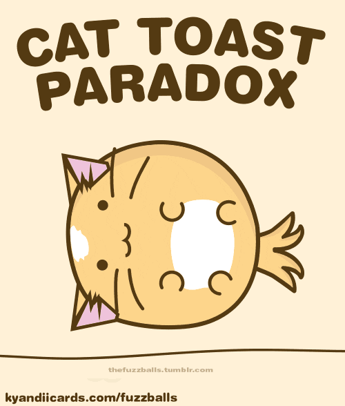 cat toast GIF