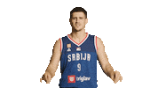 Vanjamarinkovic Sticker by sportmts