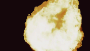 wyrmwood GIF by SBS Movies