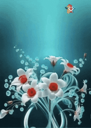 Flores Amigas GIF by Murcianys LLC