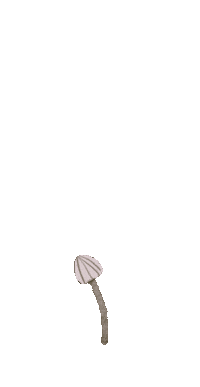 growing magic forest Sticker by Alexandra Dvornikova