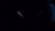 jailbreak the tesla GIF by Injury Reserve