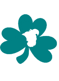 south carolina teal Sticker by Coastal Carolina University