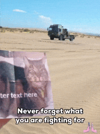 Never Forget Cat GIF