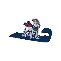 Desales Winter Sticker by DeSales University