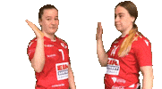 handball frblad Sticker by Fredriksstad Blad