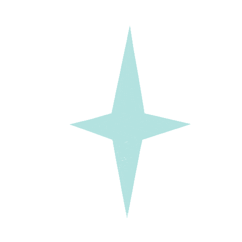 paperflaneur giphyupload star turquoise etoile Sticker