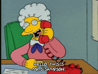 Season 1 Episode 13 GIF by The Simpsons