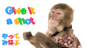 Fun Monkey Sticker