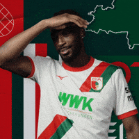 Football Bundesliga GIF by FC Augsburg 1907