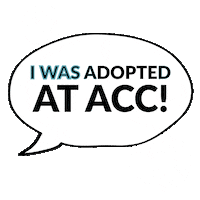 Acc Sticker by nycacc