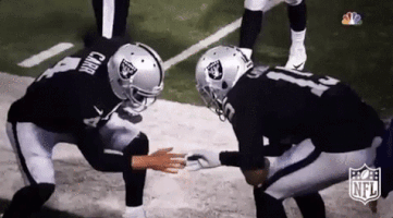 Oakland Raiders Football GIF by NFL