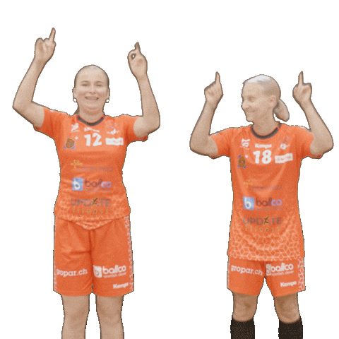 RedAntsWinterthur giphyupload swipeup 2023 jill Sticker