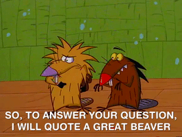 nickrewind nicksplat angry beavers GIF