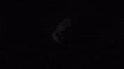 Black And White Singing GIF by tensidemusic