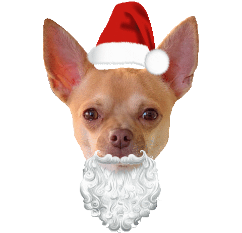 Merry Christmas Dog Sticker