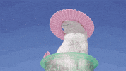 bright cat GIF