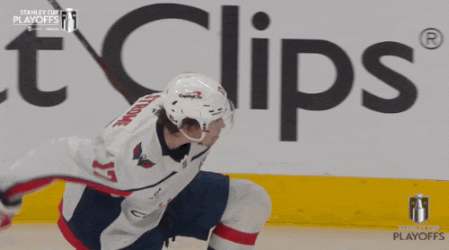 Happy Stanley Cup Playoffs GIF by NHL