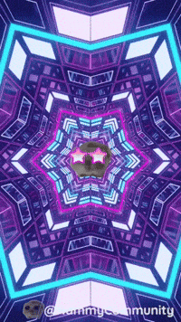 Stars Lights GIF by Sad Hamster
