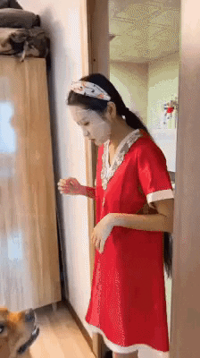 cuteanimalland giphyupload GIF