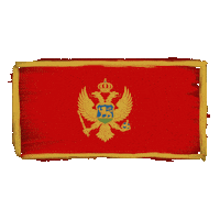 Art Animation Sticker