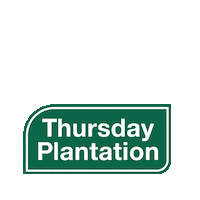 ThursdayPlantation thursday plantation Sticker