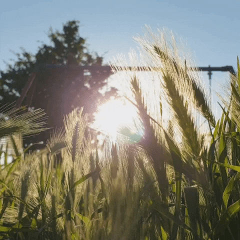 Sky Love GIF by Q Agency