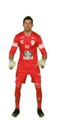 Liga Mx Mexico Sticker by Club Pachuca Tuzos