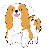 Dog Cavaliers Sticker