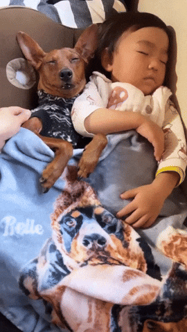 cuteanimalland giphyupload GIF