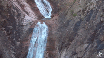 TheBroadmoor travel nature luxury hotel GIF