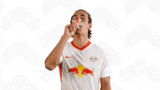 Yussuf Poulsen Lol GIF by RB Leipzig