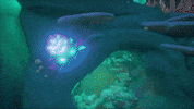 Season Four GIF by Sea of Thieves