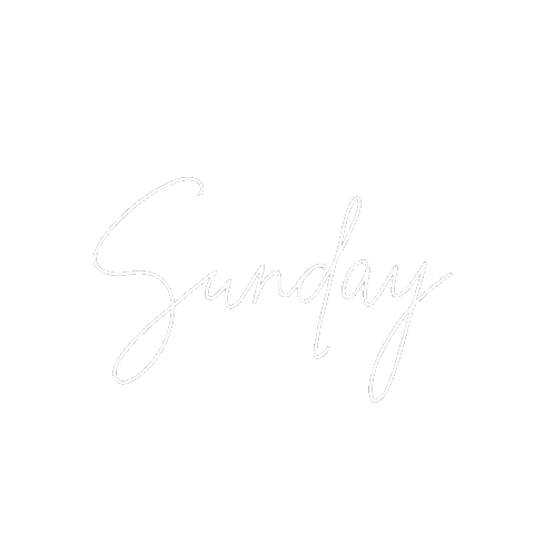 Erasmusalumniclub giphyupload white sunday minimal Sticker