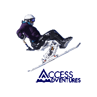 Skiing Skier Sticker by Access Adventures