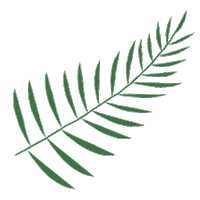 Vietnam Leaf Sticker by Luca Guelfi Company