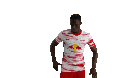 Lets Go Football Sticker by RB Leipzig