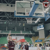 Spojnia Stargard Basketball GIF by Kacper Salamon Fotografia
