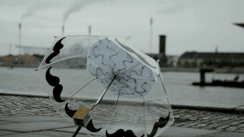 umbrella GIF