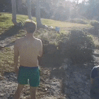Dive Diving GIF by Bermemes