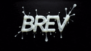 Brevmag GIF by Brev Magazine