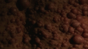 skin GIF by NOWNESS