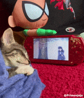 Kitty Cinema GIF