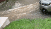 wamu climate change virginia flooding public radio GIF