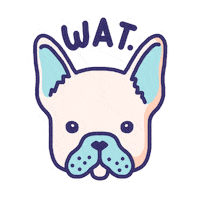 french bulldog what Sticker by Puppr