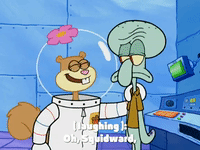 season 4 GIF by SpongeBob SquarePants